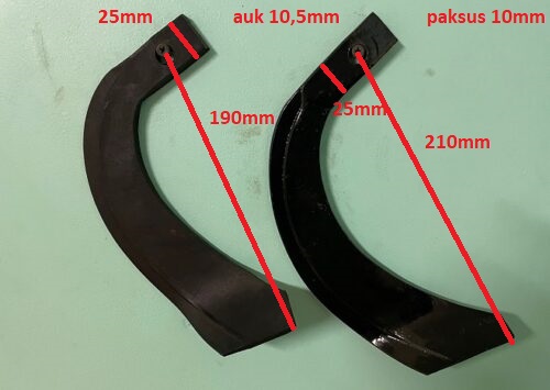 Jaapani freesi tera.